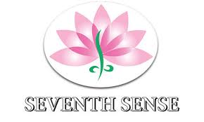 Seventh Sense Logo